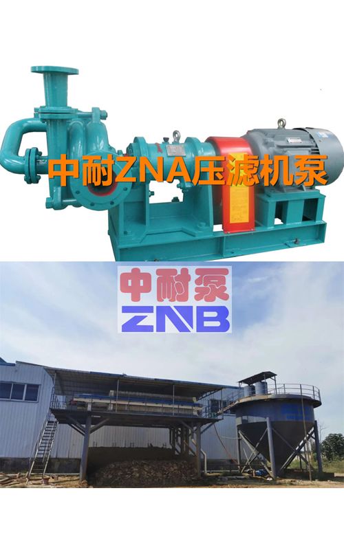 ZNAϵ�Љ��V�C(j��)���ϱ�