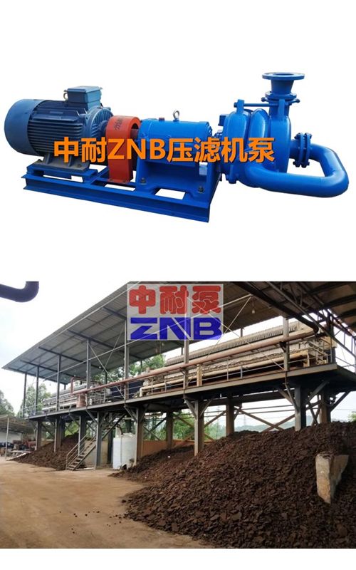 ZNBϵ�Љ��V�C���ϱ�