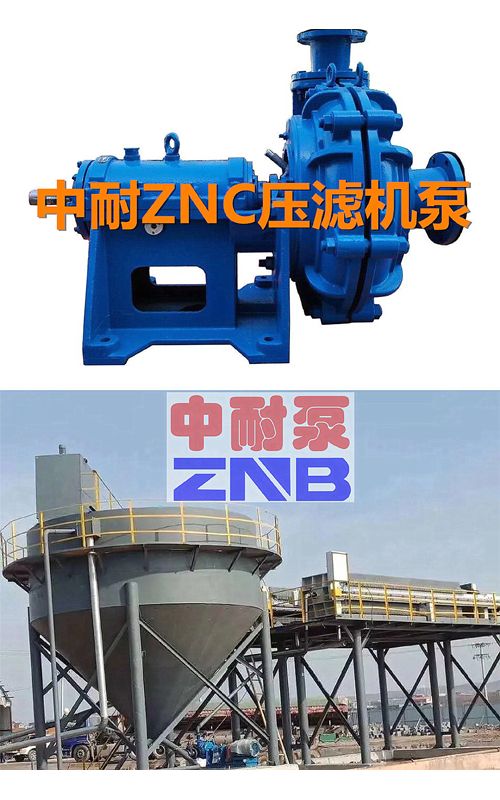 ZNAϵ�Љ��V�C(j��)���ϱ�