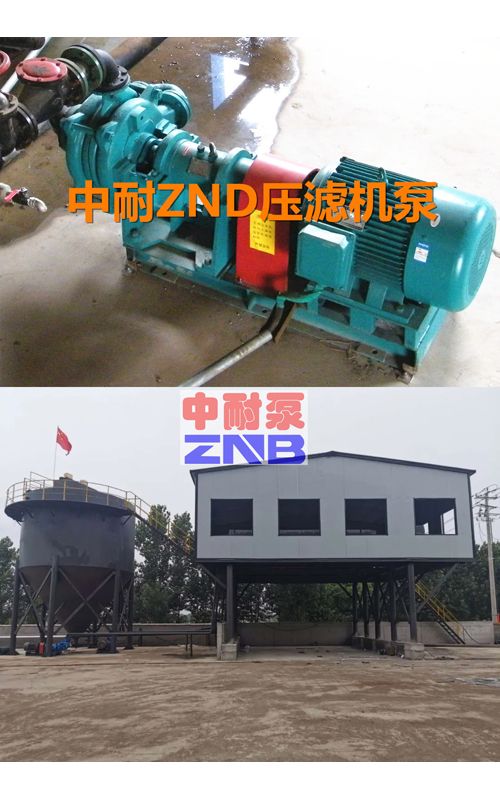 ZNDϵ�Љ��V�C���ϱ�